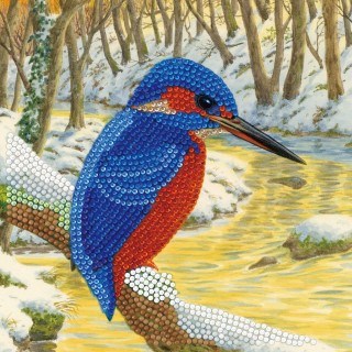 [CCK18#A66] Crystal Card Kit ® Diamond Painting 18x18cm, Woodpecker