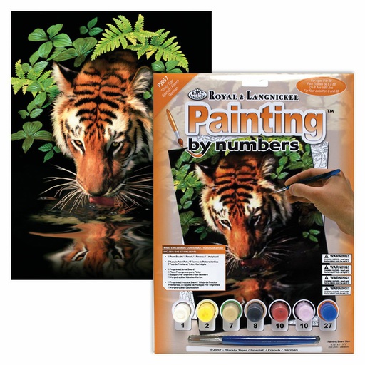 [RB-PJS#57] Painting by Numbers 225x305mm, Thirsty Tiger